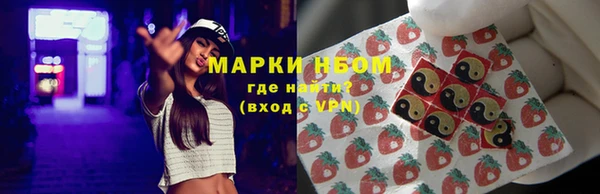 сатива Новосибирск