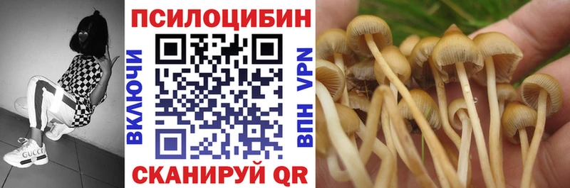 сколько стоит  Щёлково  Псилоцибиновые грибы MAGIC MUSHROOMS 